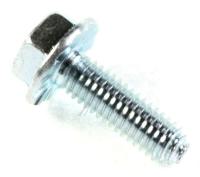 DA6010123E (DNA)SCREW-TAPTITE,HH,M6,L19,ZPC2-W