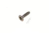 6002-000126 SKRUV,+,2S,M3,L10,ZPC(BLK),SM