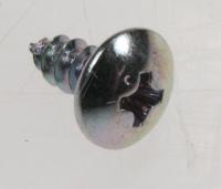 6002-000470 SCREW-TAPPING,TH,+,1,M4,L10,ZPC(YEL),STS