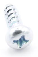 6003-000169 RUUVI W-TAPTITE PH,+,B,M4,L10,