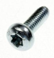 35008716 SKRUV TT M4X12 PAN HEAD TORX