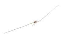 RB441Q 0404-000156 DIODE-SCHOTTKY,RB441Q,10V,100MA,DO-34,TP