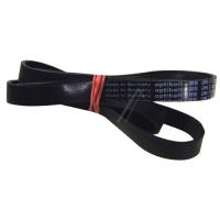1185H8EL POLY V REM ELASTISK