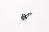 6009-001343 RUUVI - SPECIAL,PH,TORX,,M4,L10,PASS