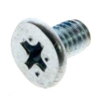 FAB30006401 SCHRAUBE F. HALTERUNG M4X6MM, EINZELN