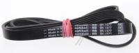 1277J5EL POLY-V VETOHIHNA, ELASTINEN,