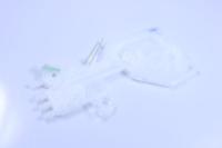HISENSE/GORENJE 439879 DELER