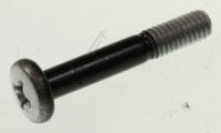 6001-003072 RUUVI,BH,+,WS,M4,L25,NI PLT,SWRC