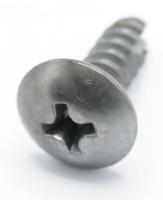6002-000481 SCREW-TAPPING,TH,+,NO,2S,M4.0,L12,NI PLT